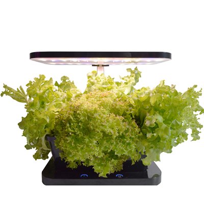 her-micro-farm-black-with-lettuce.jpg